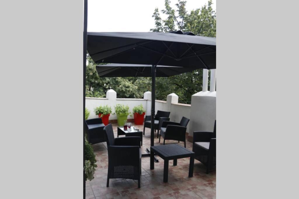 Rock - Studio With 30M2 Terrace Belgrado Buitenkant foto